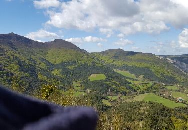 Randonnée Autre activité Omblèze - plateau d'embellir par les arbos  - Photo