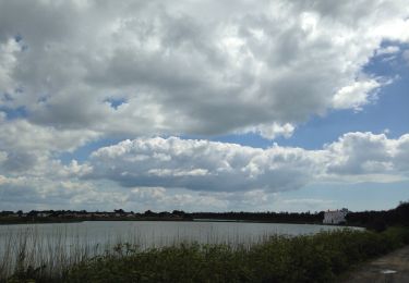 Tocht Andere activiteiten L'Épine - Lépine en Vendée  - Photo