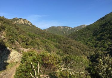 Trail Walking Sorède - 66 SOREDE - la vallée heureuse - collada de Llori  par la piste - retour par le Tassio - Photo