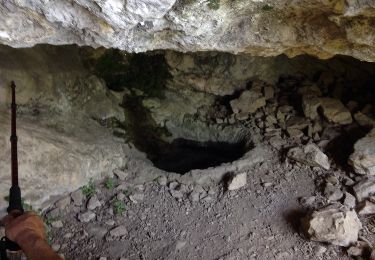 Tour Wandern Aubagne - les pierres gravées par le sentier des scolopendres - Photo