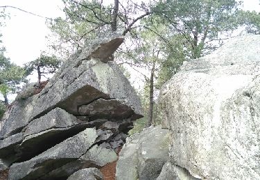 Excursión Senderismo Fontainebleau - Fontainebleau 2016 gorge et plâtrières d'Apremont - Photo