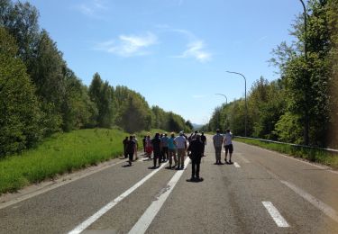 Randonnée Marche Herstal - Milmort et les arbres fruitiers a Tilice - Photo