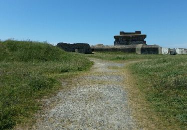 Excursión Senderismo Noirmoutier-en-l'Île - Gitane à l'Herbaudiere - Photo