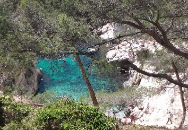 Tour Wandern Cassis - Cassis / Calanques de Morgiou - Photo