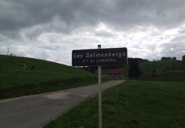 Randonnée Marche Lamoura - Lamoura-Selmembergs - Photo