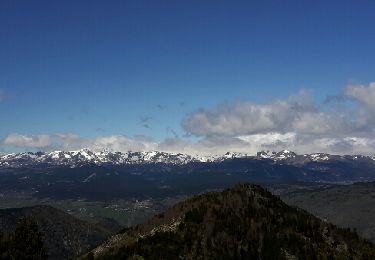 Tour Wandern Fontpédrouse - Tour du Cucurucouil - Photo