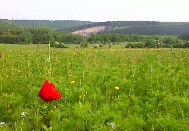 Tocht Stappen Viroinval - marche nordique vierve - Photo