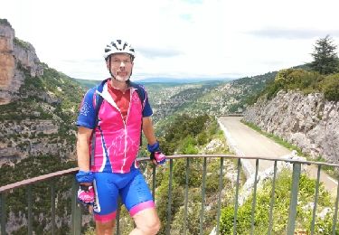 Excursión Bicicleta Malaucène - Le mont Ventoux 3 06 2016 - Photo