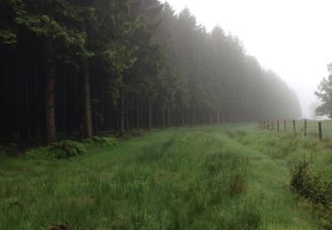 Trail Walking Raeren - Luik - 2016-06-04 Raeren - Staatswald Oberweser - Eschbach - Reinartzhof - Steinbach - Photo