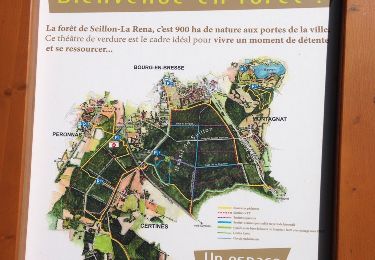 Tour Wandern Péronnas - Balade en Foret de Seillon - Photo