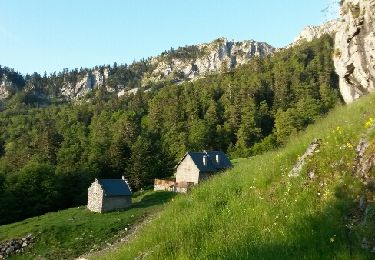 Randonnée Marche Boutx - CAGIRE- Col de Mente-Larreix-Cagire-Escalette-retour - Photo