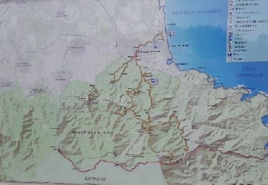 Trail Walking Argelès-sur-Mer - Tour de Massane - Photo