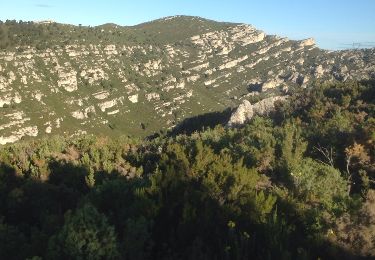 Tocht Stappen Allauch - Le Pilon du Roy par les cretes du Cornillon - Photo