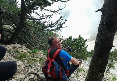 Tour Wandern Beaumont-du-Ventoux - mont ventoux - Photo