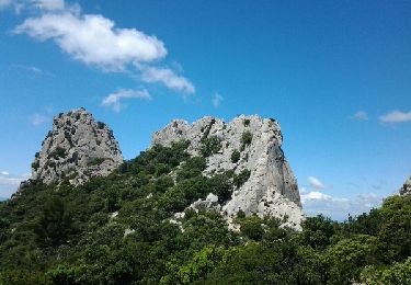 Tour Wandern Gigondas - montmirail - Photo