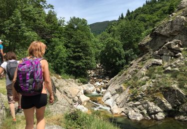 Trail Walking Laviolle - laviolle les roches Aubert - Photo