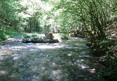 Trail Walking Voutezac - Ayen-160623 - Ceyrat-FontaineCrozes - Photo