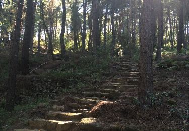 Tour Wandern Gravières - Gravie`res Virade du Baptistou - Photo