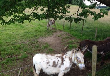 Percorso Marcia Érezée - chateau ferme de fisenne Soy Erezée - Photo