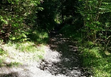 Trail Walking Passy - chalets varan - Photo