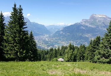 Tour Wandern Combloux - rando 2 - Photo