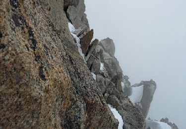 Percorso Altra attività Chamonix-Mont-Blanc - arête des cosmique - Photo