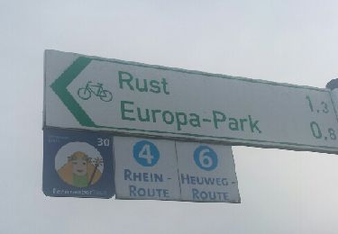 Trail Walking Rheinau/Rhinau - Du Bac de Rhinau à Rust - Photo