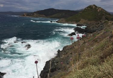 Excursión Otra actividad Ajaccio - perret îles sanguinaires  - Photo