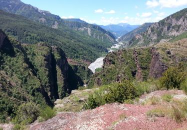 Randonnée Marche Daluis - Daluis - Point Sublime des Gorges de Daluis Le Var - 4.9km 270m 2h10 - 2016 06 17 - Photo