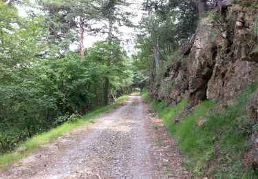 Randonnée Marche Breil-sur-Roya - Breil-sur-Roya - du col de Brouis à la cime du Bosc AR - 6.2km 245m 1h40 - 2016 06 29 - Photo