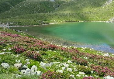 Randonnée Marche Valdeblore - mont poiri et les lacs des millefonts - Photo