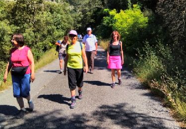 Tocht Stappen Bollène - Barry par St Restitut 19-07-2016 - Photo