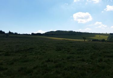 Tour Wandern Le Bessat - boucle de la Jasserie - Photo