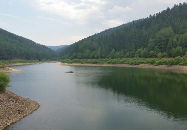 Tocht Stappen Planfoy - boucle barrage du Pas de Riot - Photo