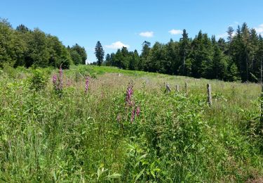 Tour Wandern Gumières - boucle du Col des Limites - Photo