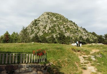 Trail Walking Saint-Martial - Gerbier de joncs - Photo