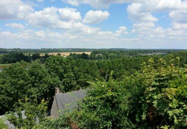 Tocht Stappen La Ville-aux-Dames - Île de la Métairie - Montlouis-sur-Loire - 2016 07 24 - Photo