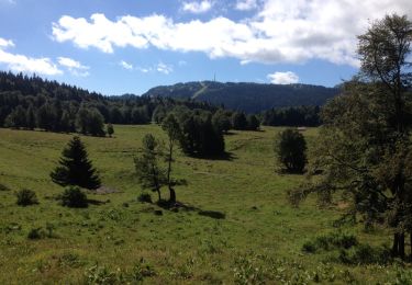 Excursión Bicicleta Prémanon - les arcets,prémanon,lajoux,les rousses,morez,les arcets. - Photo