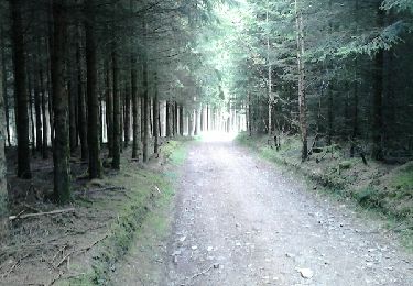 Trail Walking Manhay - courte à vaux chavanne - Photo