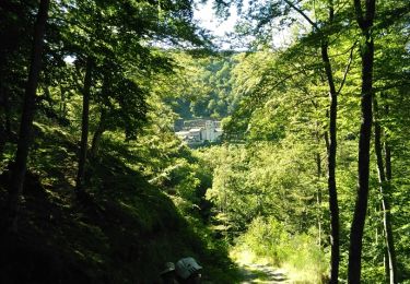 Randonnée Marche Rousses - Lozère Rousse gorges du Tapoul - Photo
