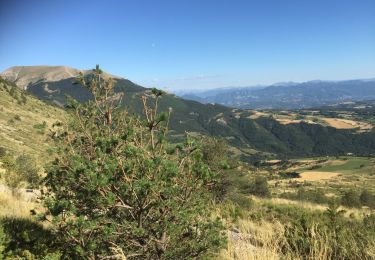 Trail Walking La Roche-des-Arnauds - COL de CONODE depuis LA ROCHE des ARNAUDS-13-08-2016 - Photo
