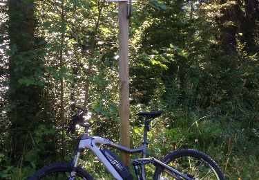 Tocht Mountainbike Prémanon - Ballade entre les Arcets prémanon le risoux  bois d'amont et retour.  - Photo