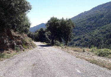 Trail Other activity Saumane - col de l asclier par estrechure - Photo