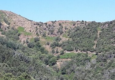 Randonnée Autre activité Saumane - col de l asclier par estrechure - Photo