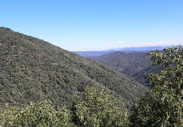 Tocht Andere activiteiten Saumane - col de l asclier par estrechure - Photo