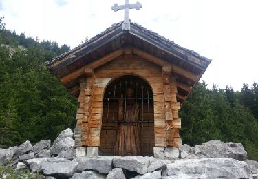 Tour Wandern La Clusaz - tour du village la clusaz - Photo