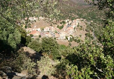 Randonnée Marche Moltifao - Les ruines de Sepula en boucle - Photo