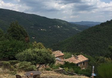 Excursión Senderismo Vialas - Sentier de l'Avès depuis le Coupétadou - Photo