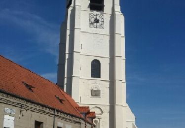 Tocht Stappen Sebourg - Les O de Sebourg - Photo