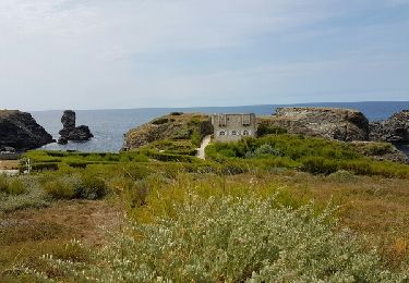 Tocht Stappen Sauzon - pointe des poulains  - Photo